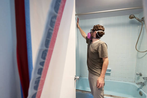 Best Dehumidification Services  in New Hartford Center, CT