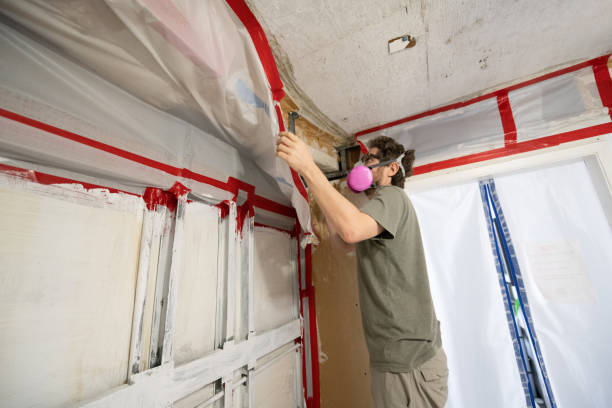 Mold Odor Removal Services in New Hartford Center, CT