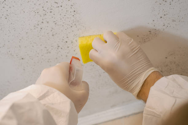 Best Air Quality Testing for Mold Spores  in New Hartford Center, CT
